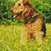 Cute Airedale Terrier diamond painting