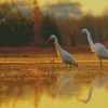 Cute Egrets diamond painting