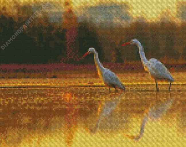 Cute Egrets diamond painting