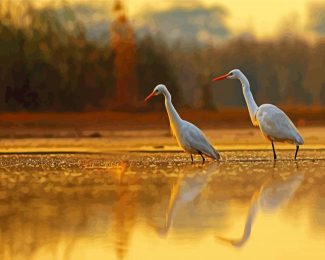 Cute Egrets diamond painting