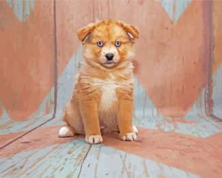 Cute Pomsky Puppy diamond painting