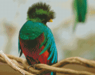 Cute Quetzal diamond painting