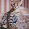 Cute Savannah Cat Animal diamond painting