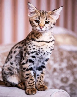 Cute Savannah Cat Animal diamond painting