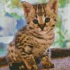 Cute Savannah Kittenn diamond painting