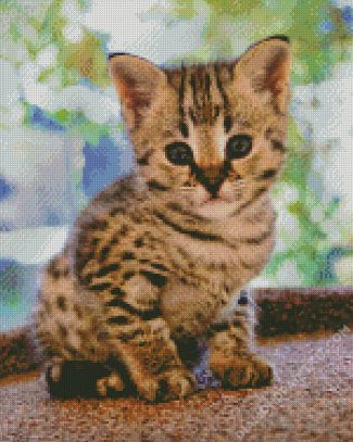 Cute Savannah Kittenn diamond painting