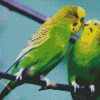 Cute Budgerigars diamond painting