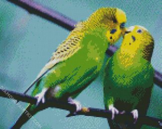 Cute Budgerigars diamond painting