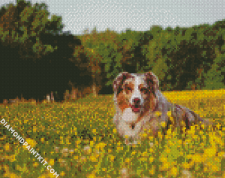 Cute Dog diamond painting