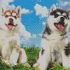 Cute Huskies diamond painting