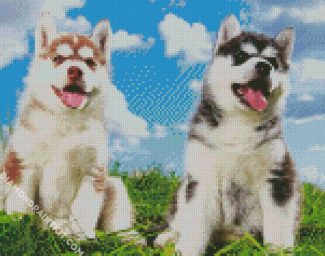 Cute Huskies diamond painting