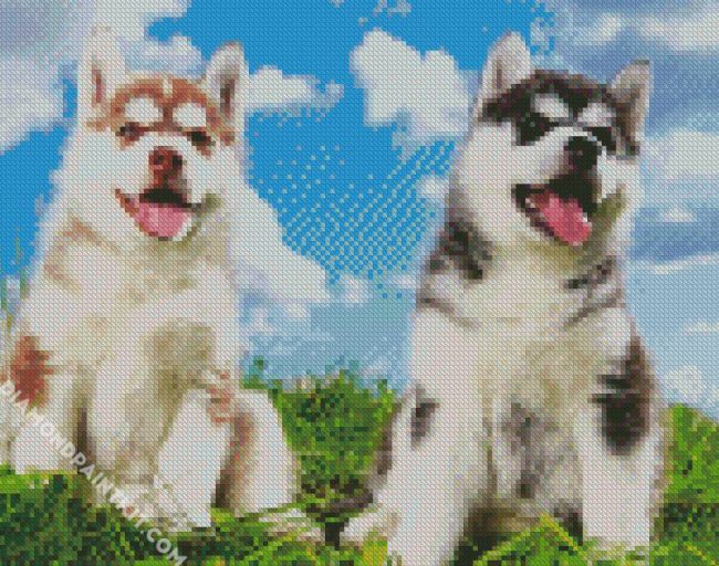 Cute Huskies diamond painting