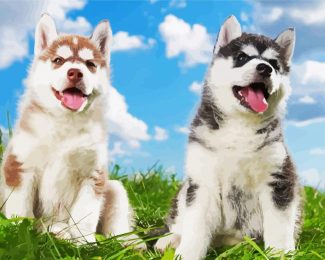 Cute Huskies diamond painting