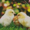 Cute Poussins diamond painting