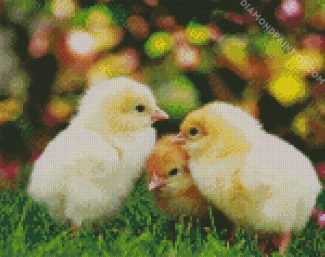 Cute Poussins diamond painting