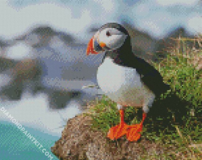 Cute Puffin Seabird diamond painting