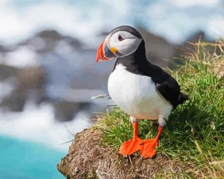 Cute Puffin Seabird diamond painting