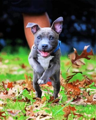 Cute Puppy Pitbull diamond painting