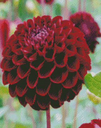 Dark Red Dahlia Flower diamond painting