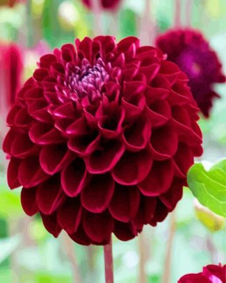 Dark Red Dahlia Flower diamond painting