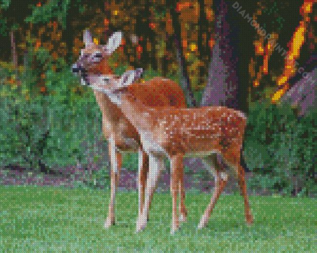 Doe Animals diamond painting