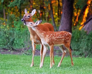 Doe Animals diamond painting