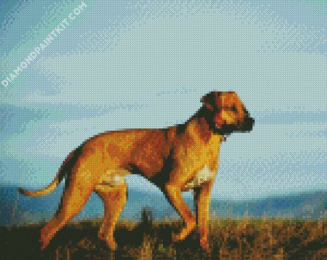 Dog Rhodesian Ridgeback diamond painting