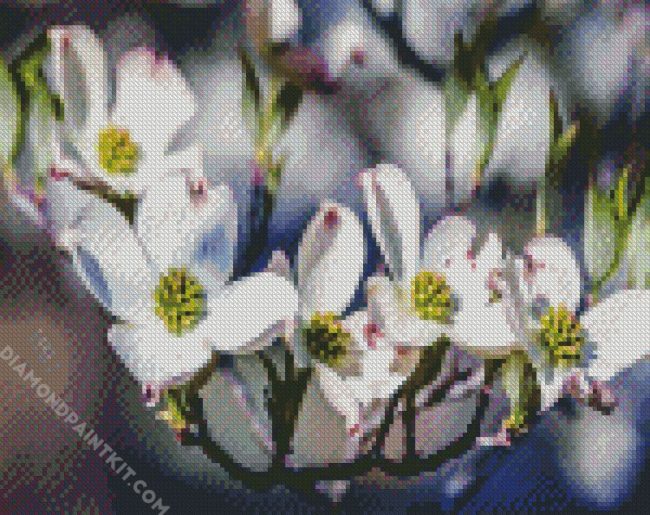 Dogwood Tree Branch diamond painting