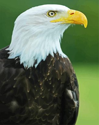 Eagle Bird Aquila diamond painting