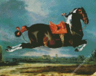 Equestrian Horse diamond painting