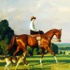 Equestrian Woman diamond painting