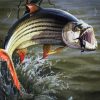 Fishing Tigerfish Art diamond painting