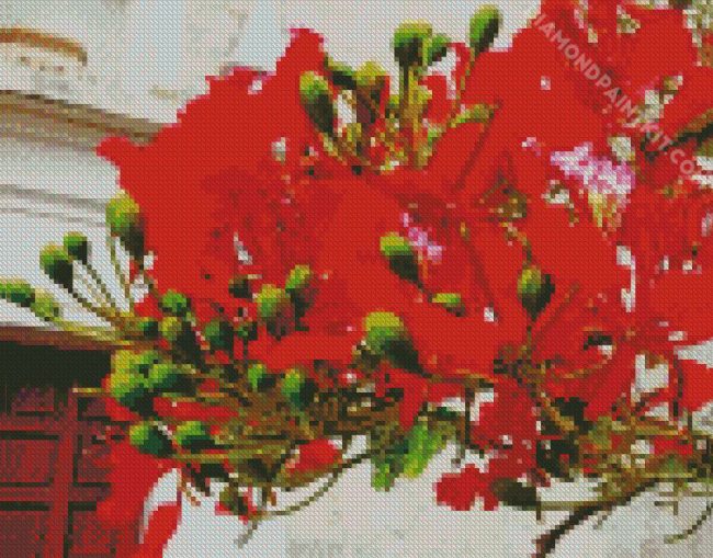 Flamboyan Plant diamond painting