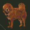 Fluffy Mastiff Dog diamond painting