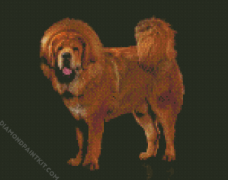 Fluffy Mastiff Dog diamond painting