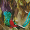 Flying Quetzal Bird diamond painting