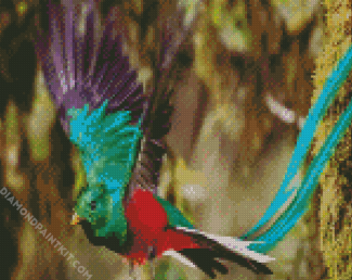 Flying Quetzal Bird diamond painting