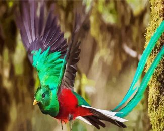 Flying Quetzal Bird diamond painting