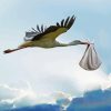 Flying Stork diamond painting