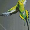 Flying Budgerigar diamond painting