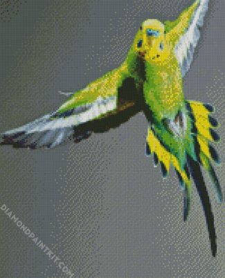 Flying Budgerigar diamond painting