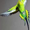 Flying Budgerigar diamond painting