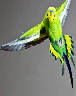 Flying Budgerigar diamond painting