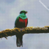 Green Quetzal Bird diamond painting