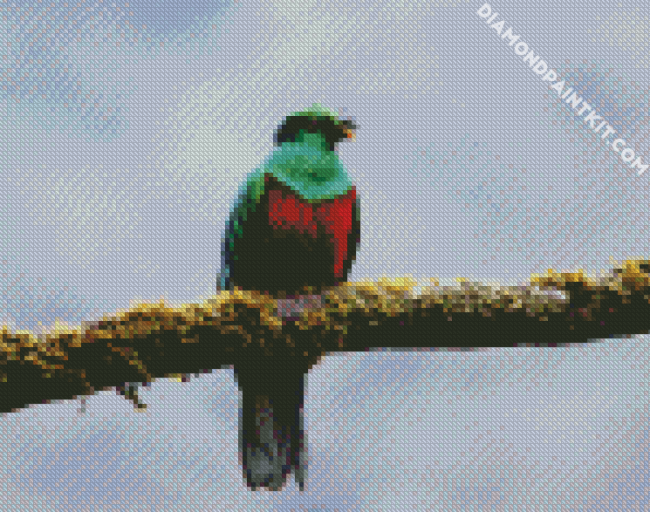 Green Quetzal Bird diamond painting