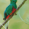 Green Quetzal diamond painting