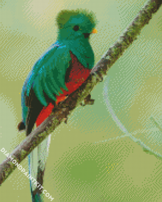 Green Quetzal diamond painting