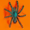 Green Spider diamond painting