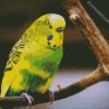 Green And Yellow Budgerigar diamond painting