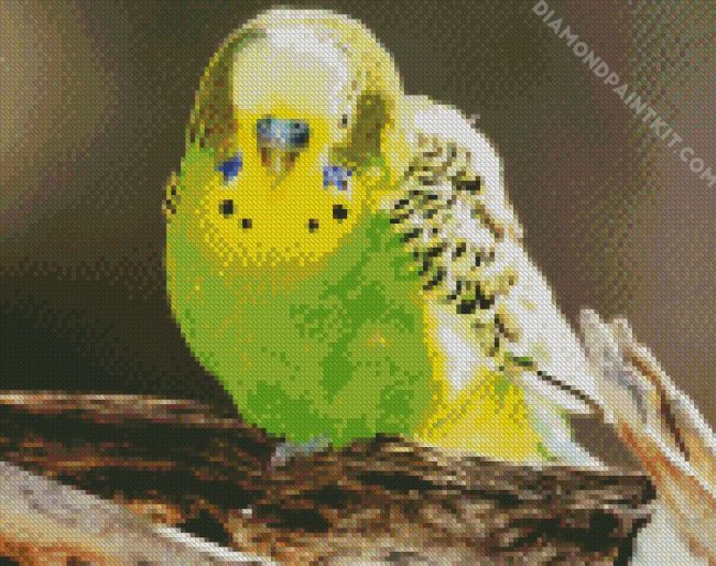 Green Budgerigar diamond painting